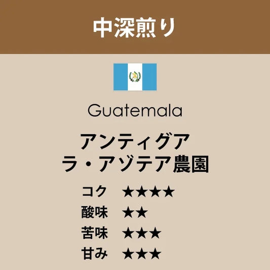グァテマラ アンティグア ラ・アゾテア農園〈中深煎り〉(200g)