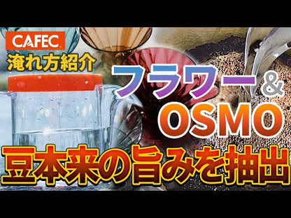 トライタンフラワードリッパーcup4〈2~4杯用〉